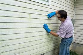 Best Historical Building Siding Restoration  in West Lake Hills, TX